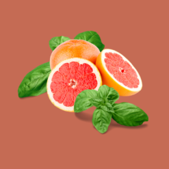 Grapefrukt & Basil